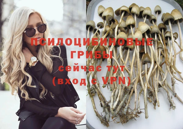 соль ск Балабаново